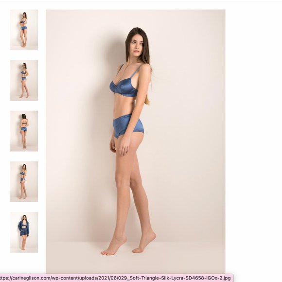 Carine Gilson - Soft Triangle Bra (S) and Brief (M) in Silk Lycra – Blue Indigo - Picture 4 of 5